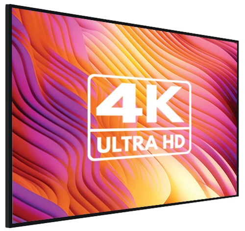 Hisense DM Series 50DM66D Panel