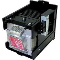 Original NP10LP01 Projector Lamp